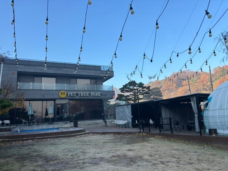 충주 글램핑 펫트리파크글램핑 찐후기 내돈내산