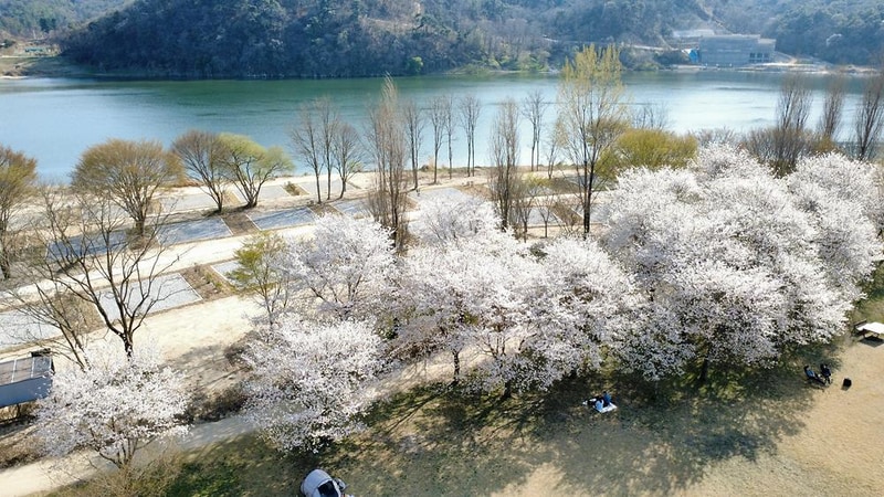 강천섬캠핑장 시설 사진 1