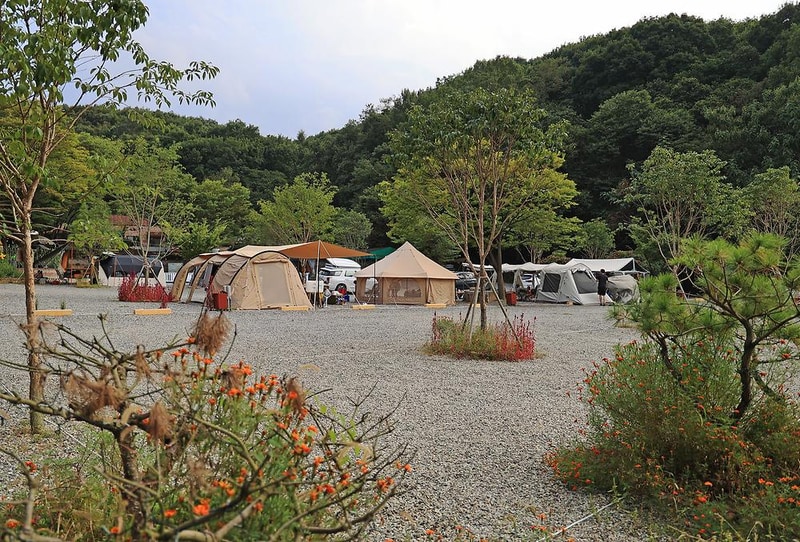 젤코바 캠핑장 시설 사진 11