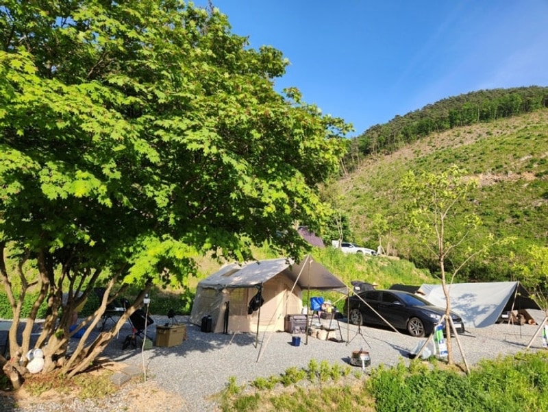 단양캠핑장 단양오지캠핑장