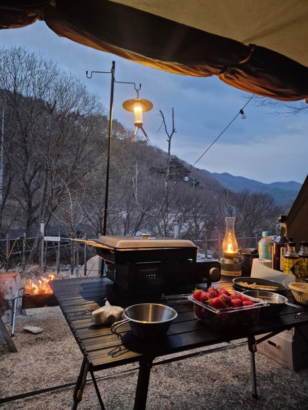 충남 천안 첫도전 장박 캠핑 천안트리하우스 C-5 3월 후기