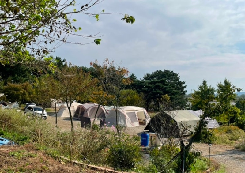 안산 대부도 캠핑장 추천 - 대부도 아라뜰캠핑장