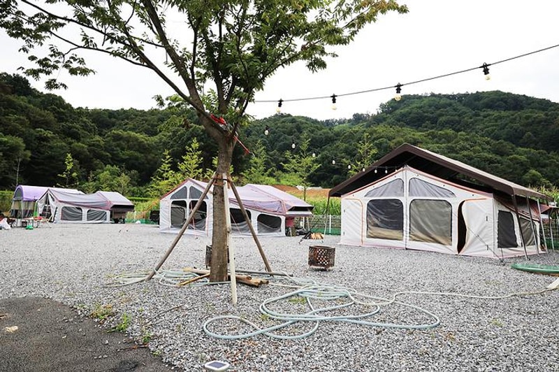 카캠 그라운드 대표 사진