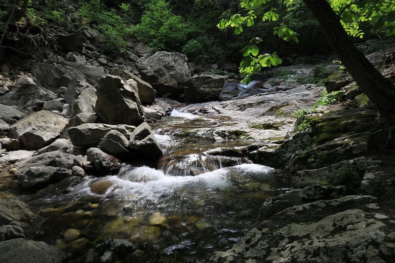 강원도산림개발연구원 집다리골자연휴양림 시설 사진 5