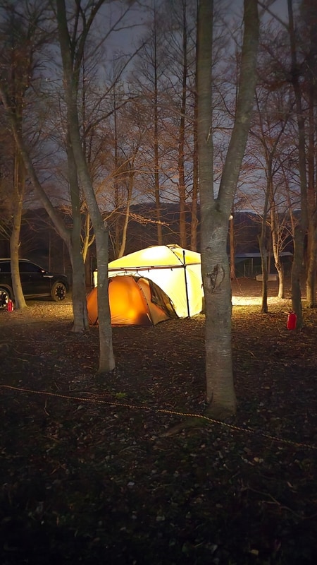 벚꽃없는 벚꽃 캠핑 경주 산내면 노꼬담꼬 캠핑장에서 솔캠