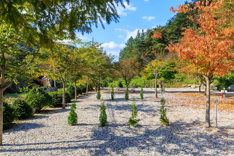 별하숲캠핑장 시설 사진 18