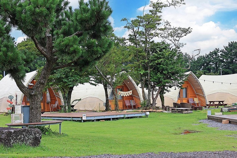 녹고뫼캠핑장 관광농원 시설 사진 5