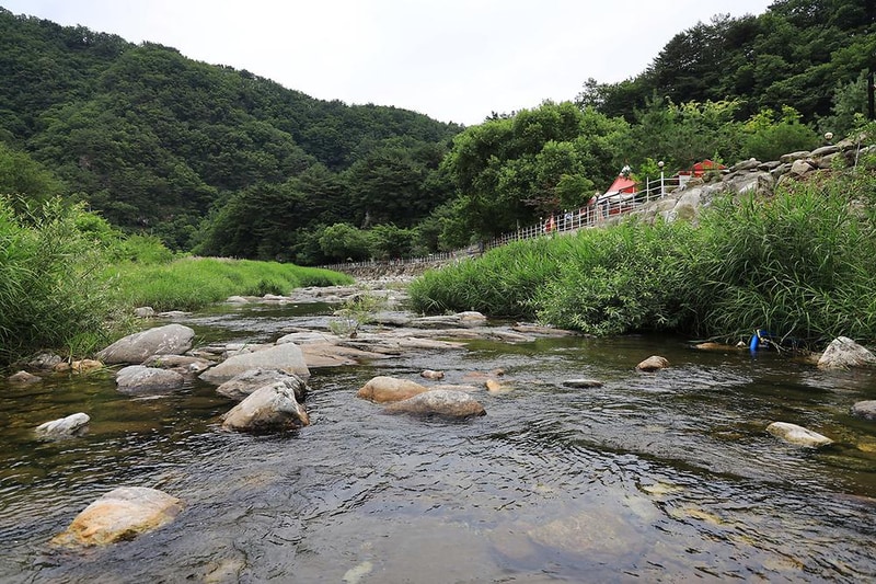 산책 시설 사진 7