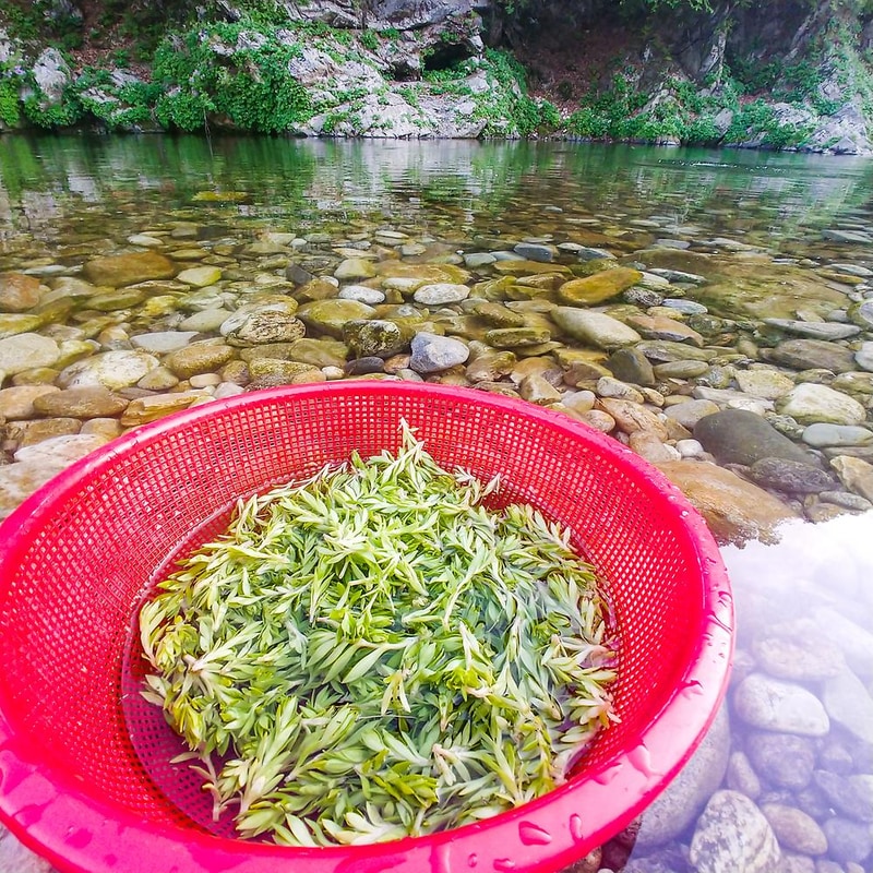구름계곡캠핑장 시설 사진 15