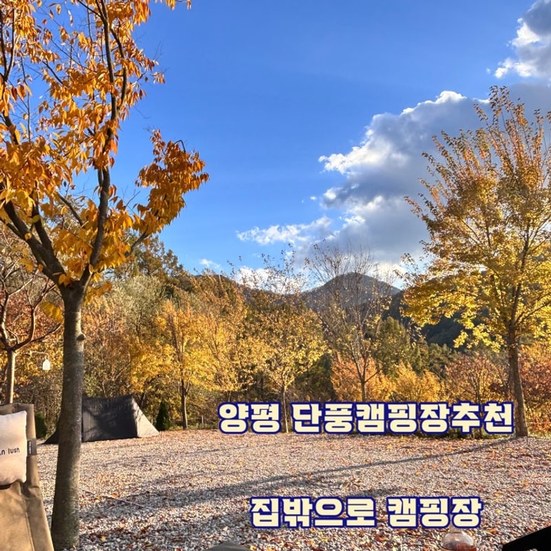 [경기 양평] 집밖으로 캠핑장 :: 양평 단풍캠핑장추천 :: D1 사이트