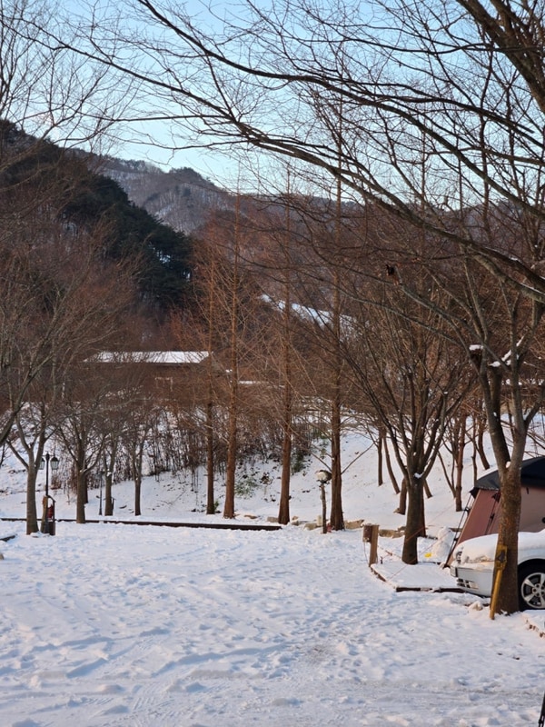 [내돈내산] 캠프더포레 애견 캠핑장 방문 후기(함양_오르투스t)
