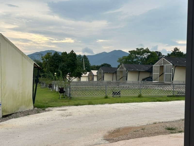 장흥 글램핑: 장흥 땡땡이 글램핑 : 반려견 동반 가능
