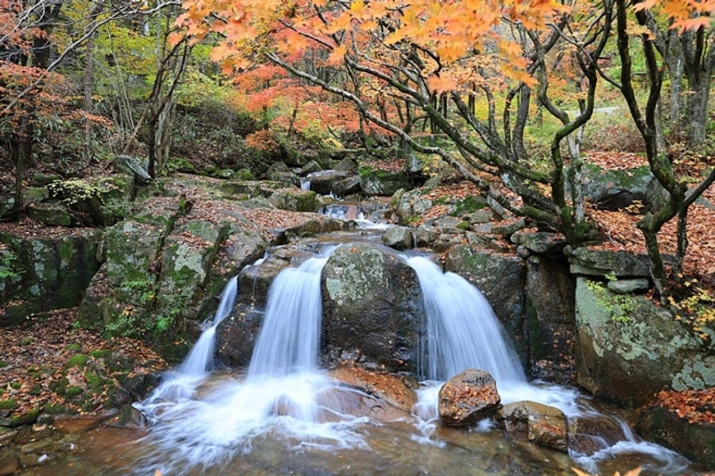 가을 캠핑여행 추천 자연휴양... 신불산폭포휴양림...