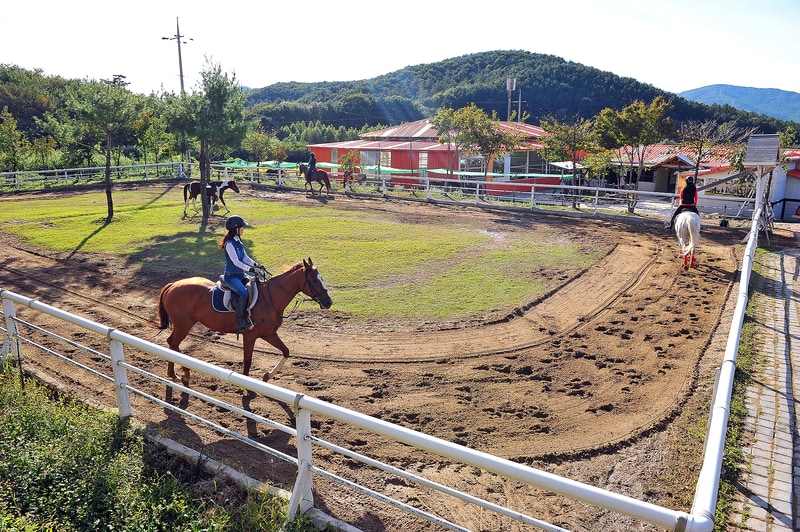 홀스킹덤 글램핑 시설 사진 25
