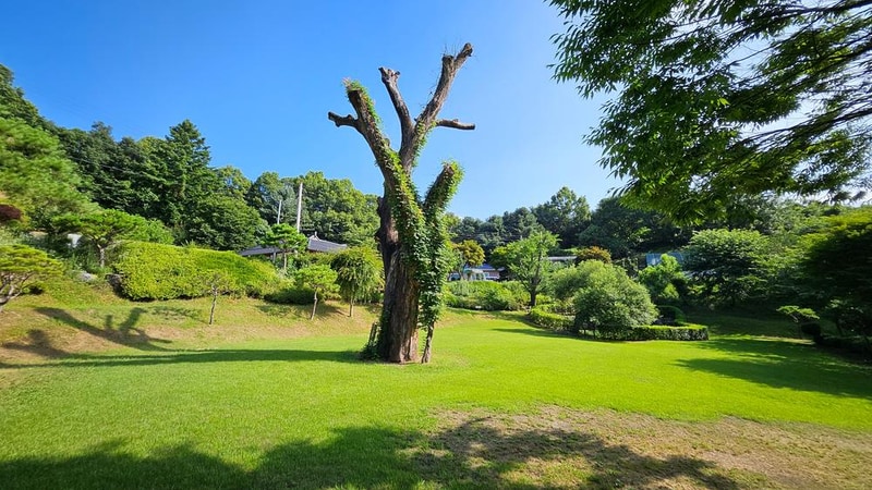 안태울캠핑장 시설 사진 3