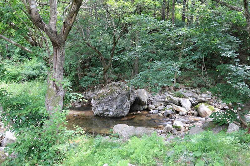 명달 야영장 시설 사진 8