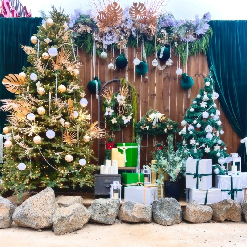 스텔라토&라구나캠프의 크리스마스여행