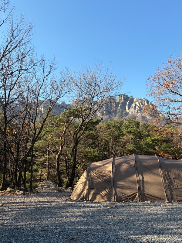 고성 캠핑느루 N8 S1 (+ 속초여행)