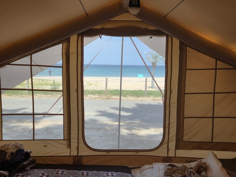 [캠핑장후기]양양 북분솔밭캠핑장 후기｜바다와 소나무숲이...