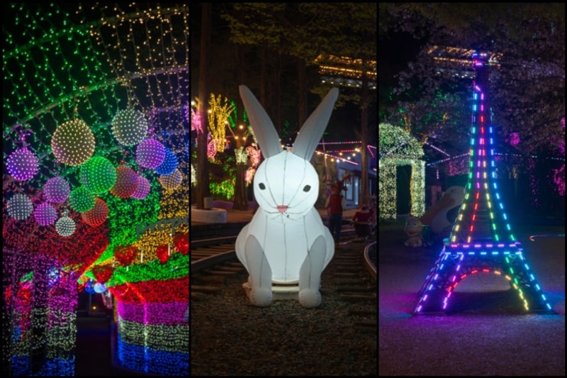 경북 가볼만한곳 청도 프로방스 빛축제 & 글램핑