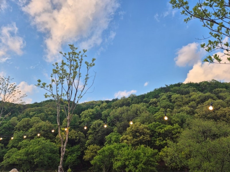 경기도 포천 조용하고 깨끗한 신상 캠핑장 포레스트사운드...