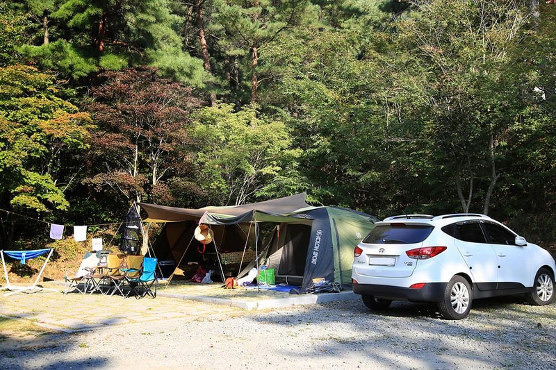 희리산해송자연휴양림 자동차야영장 시설 사진 10