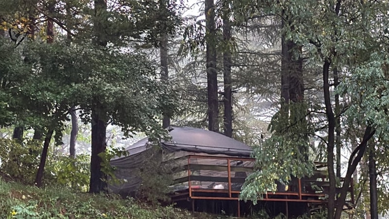 강원도 인제 캠핑타운 FD5