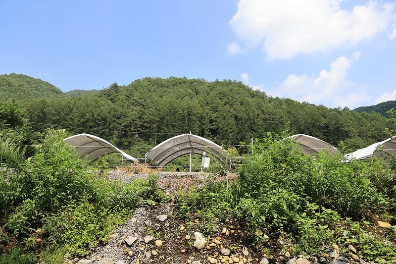 하우스 캠핑장 시설 사진 9