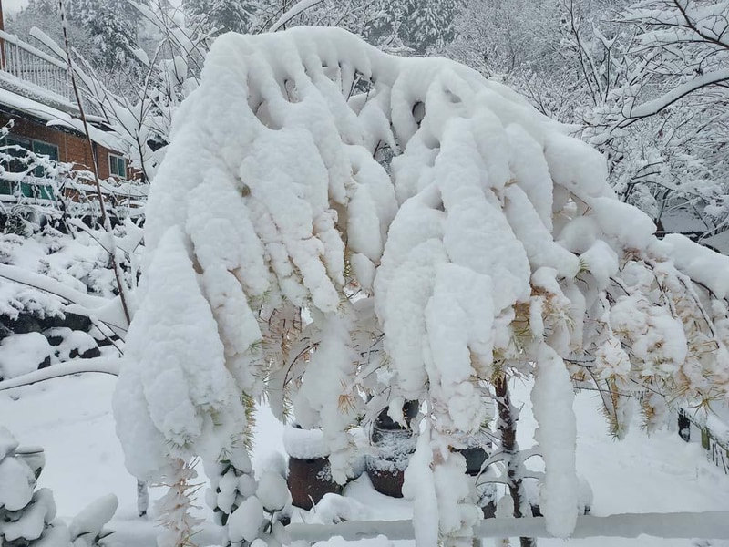 횡성산울림오토캠핑장 시설 사진 3
