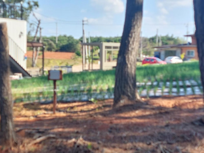 곡식정원(관광농원) 시설 사진 22