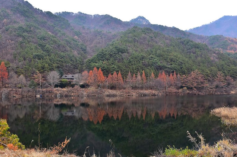 국망봉 자연휴양림캠핑장 시설 사진 7