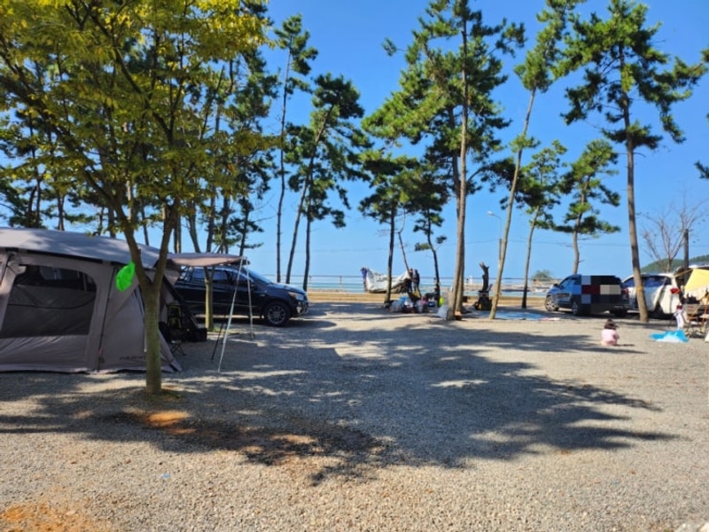 태안 어은돌송림캠핑장 B-42사이트 후기, 어은돌해변에 또...