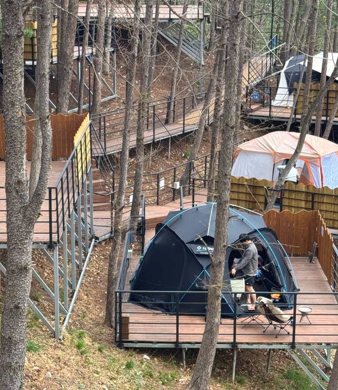 [경기도 가평 / 블루문캠핑장 / 숲속 사이트 / 봄캠핑]밍밍캠핑 #14