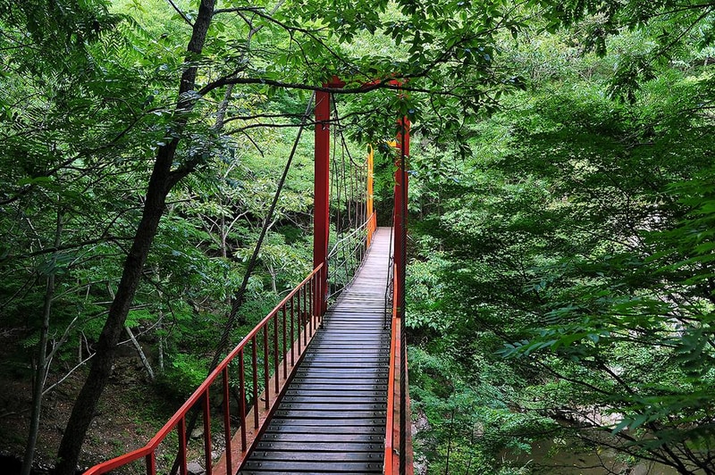 유치 자연휴양림 시설 사진 1