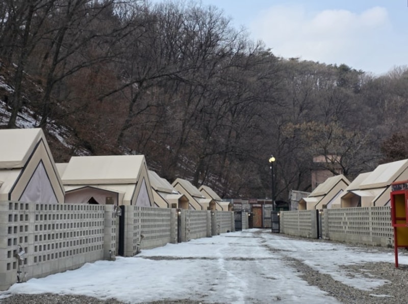 [체험] 양주 캠프랩 당일치기바베큐장 - 바베큐 캠핑 체험