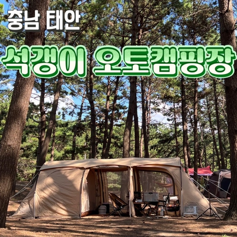 충남 태안 석갱이 오토캠핑장 아이와 캠핑 박하지, 학꽁치...