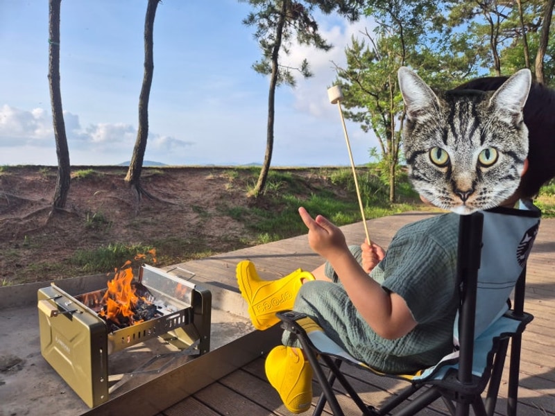 [전남 캠핑장 후기] 전남 무안 노을길 야영장 내돈내산 후기...