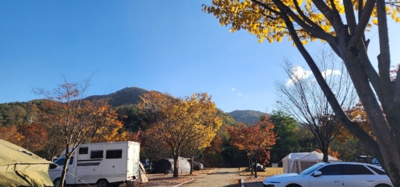 가을 캠핑포천 비둘기낭 캠핑장