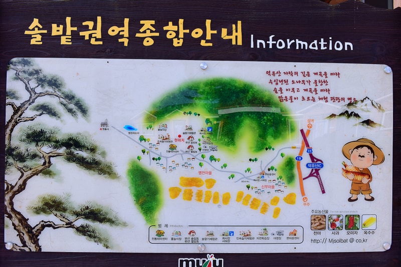 무주 솔밭야영장 배치도 1