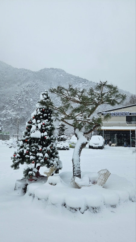 원주 캠핑장] 겨울캠핑의 낭만을 느껴보고 싶다면, 칠봉송정캠...