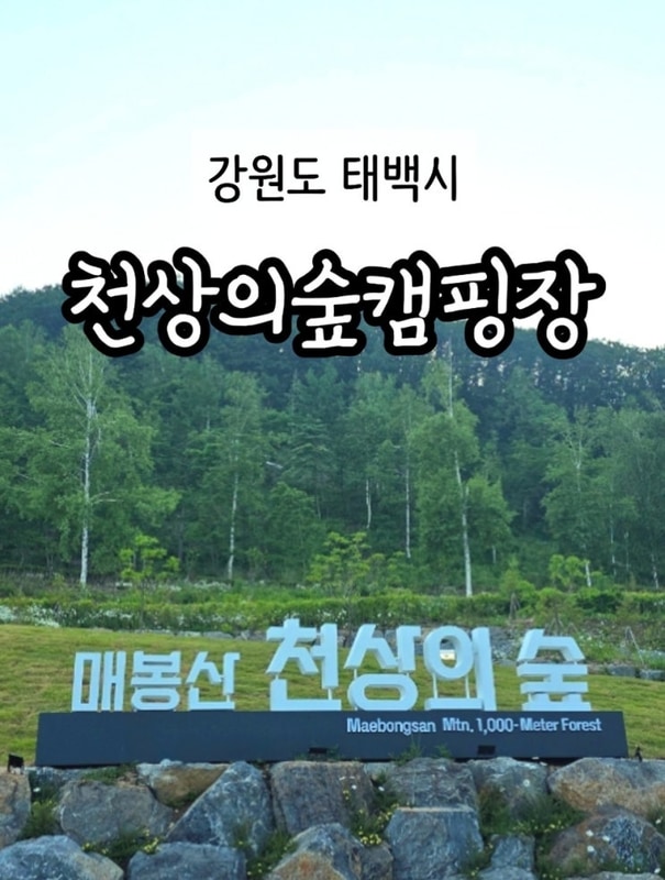 태백, 도립 캠핑장 개장! A동... 총정리!! 매봉산 천상의 숲