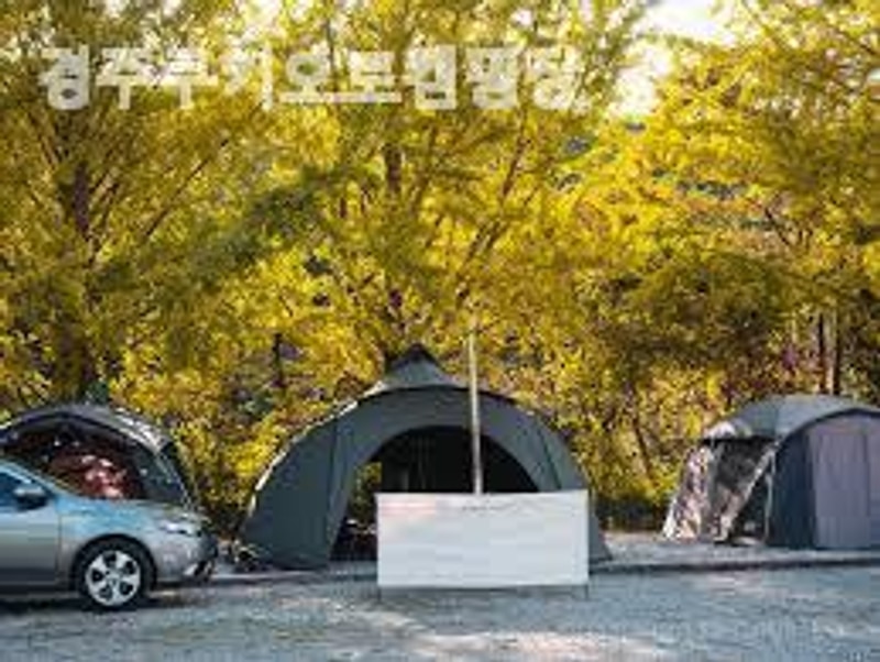 경주 캠핑장 경주쿠키오토캠핑장 깨끗한 시설로 안심되는 캠핑