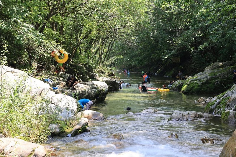 원주 우리 캠핑장 시설 사진 10