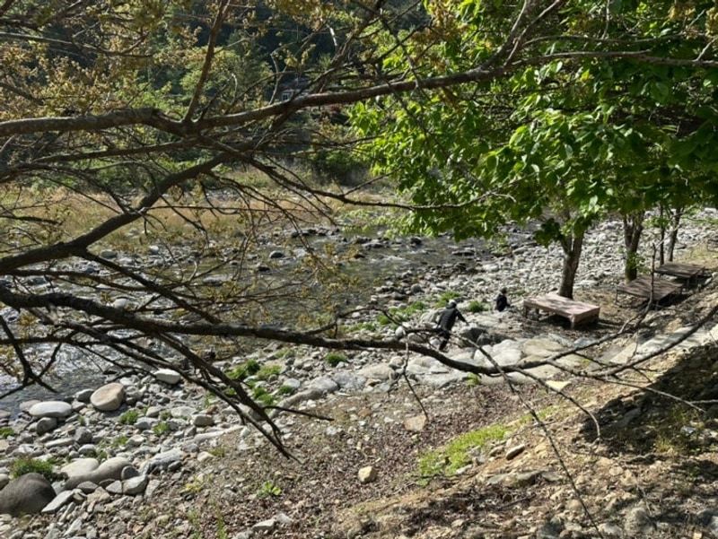 계곡의 환상콜라보~ 강원도 여행 양양 골짜구니 캠핑장(25.5.3-5)