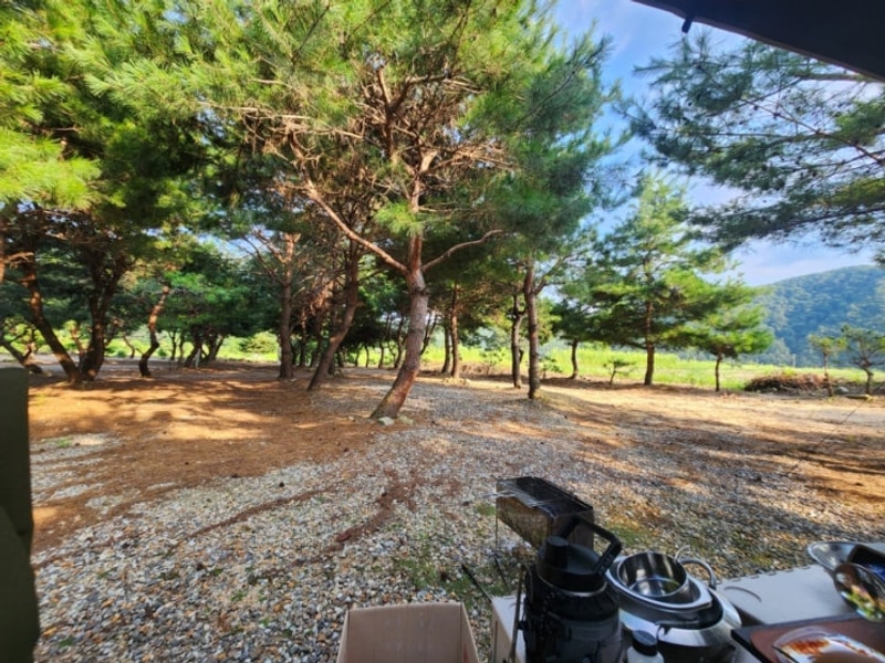 코앞에 계곡이!!물놀이와 감성을 느껴보자!사발소캠핑장2~3일차