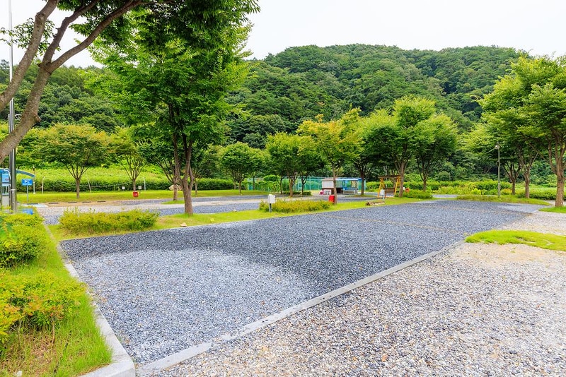 박달재초록꿈캠핑체험장 시설 사진 1