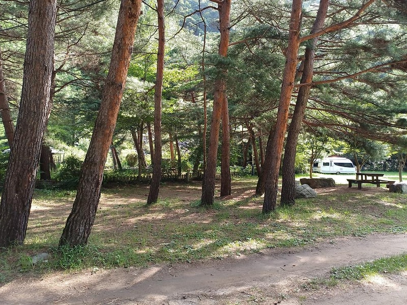 졸드루오토캠핑장 시설 사진 3