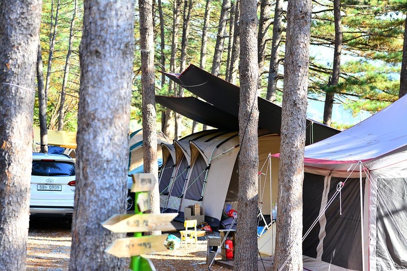 캠프수풀이 시설 사진 6