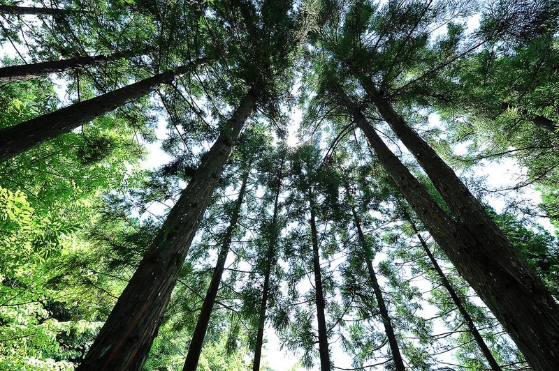 국립천관산자연휴양림 시설 사진 14