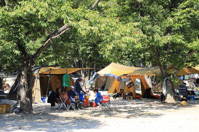 밤벌오토캠핑장 대표 사진